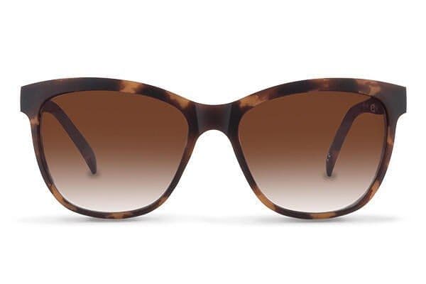 Karün Osorno Havana Brown
